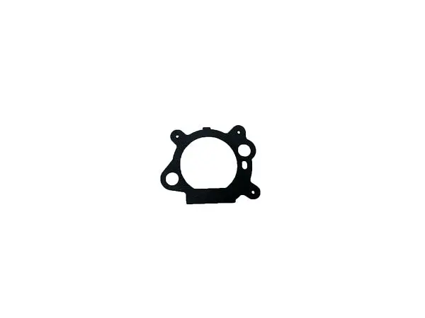 Air Cleaner Gasket (Part #795629)