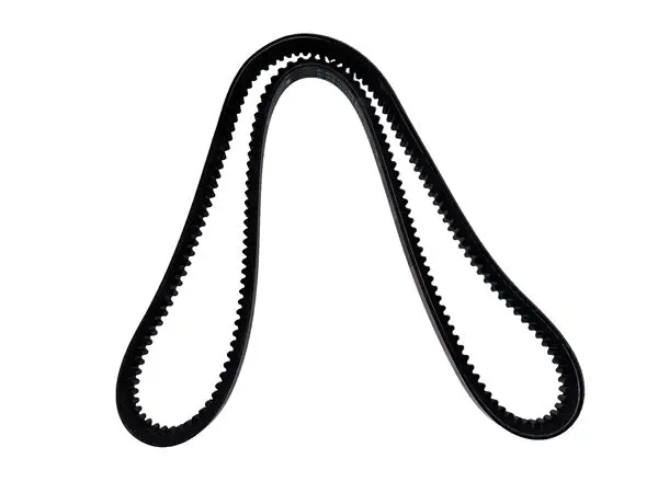 B46 Industrial V-Belt (784981)