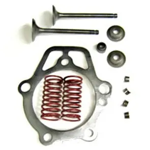 Generac Valve Repair Kit | OEM Part #0D24890ESV