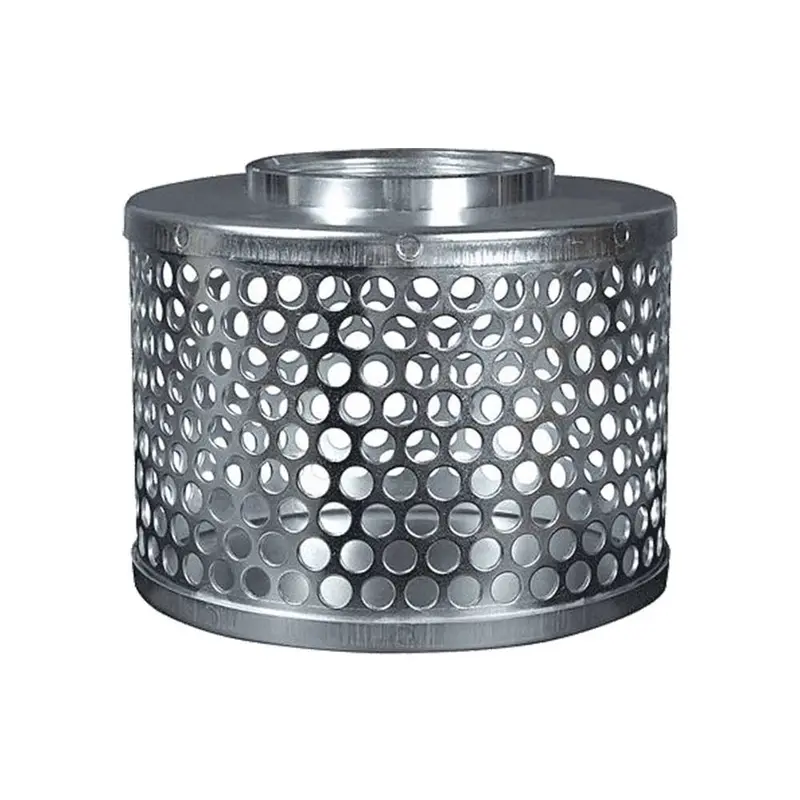 JGB Round Hole Strainer – 2-Inch Diameter Stainless Steel Filter (Model #026-0321-2312.JGB)