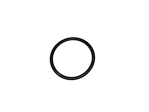Standard O-Ring (730-924)