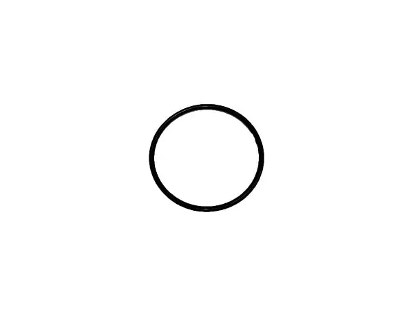 ZT28/3100 Charge Pump O-Ring Seal (Part #603223)